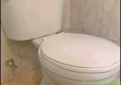 Free ad: Crane plumbing toilet in Edmonton. Crane plumbing toilet in Edmonton