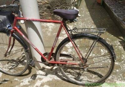 Cycle in Srinagar