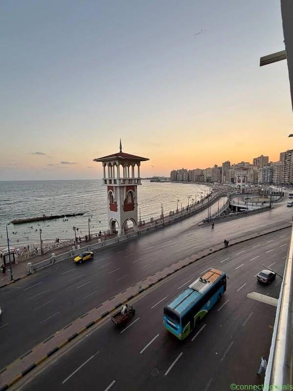 شقق للايجار فندقيه ميامي اسكندريه