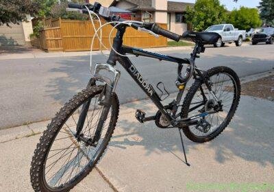 Diadora Adult Bikes in Calgary