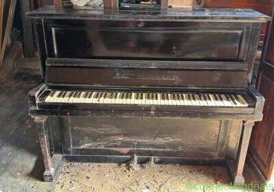 Free ad: Dummy piano challenge and son London inside the in Mysore. Dummy piano challenge and son London inside the in Mysore
