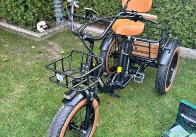 E-Bike Dreirad Easingo Z139 in Cologne