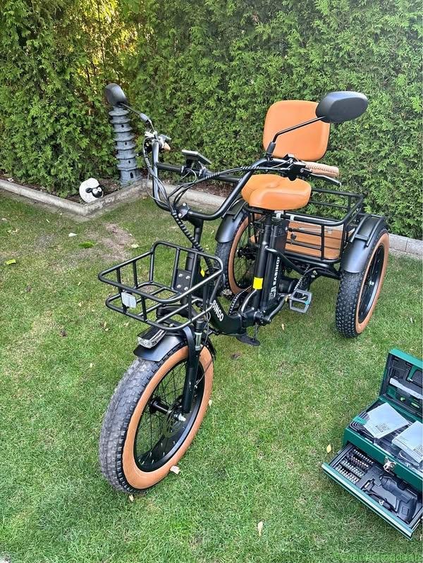 E-Bike Dreirad Easingo Z139