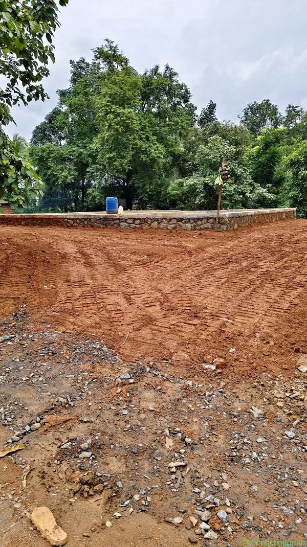 ചുവന്ന മണ്ണ്