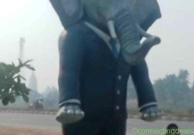 Free ad: Ek old elephant jo ki 1 sal purana in Agra. Ek old elephant jo ki 1 sal purana in Agra