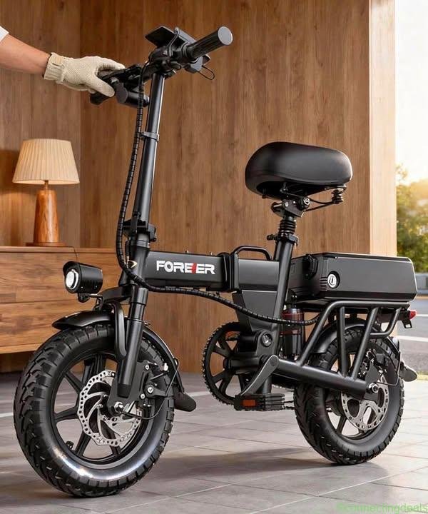 Electric bike