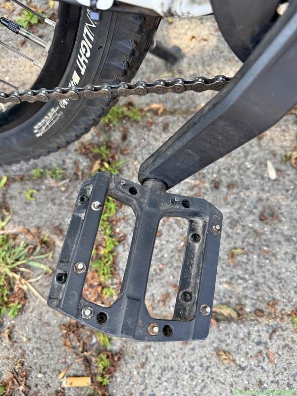 Electric mountain bike
