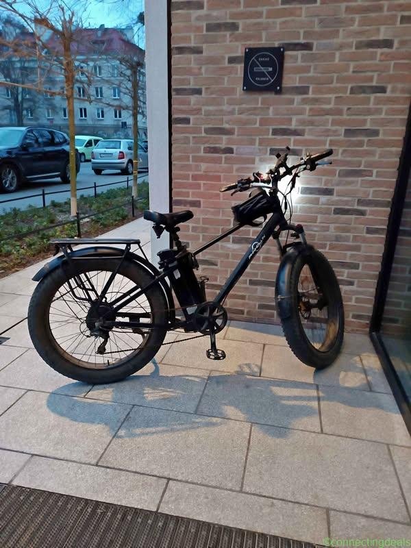 Elektrik bike