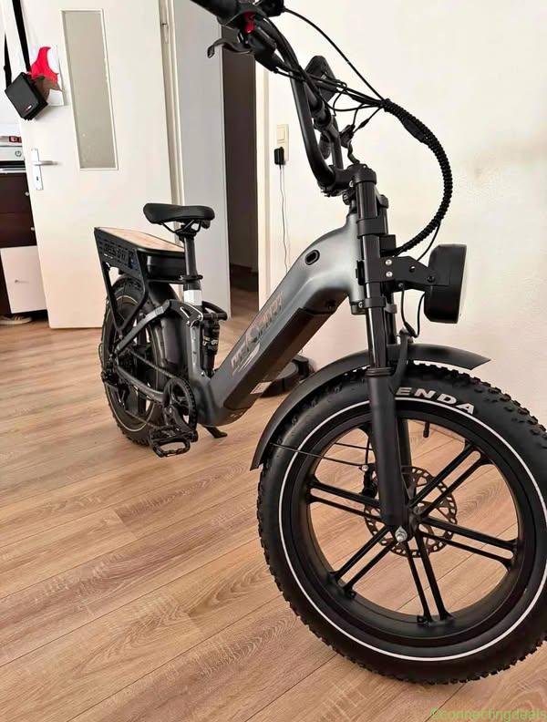 Elektrofahrrad