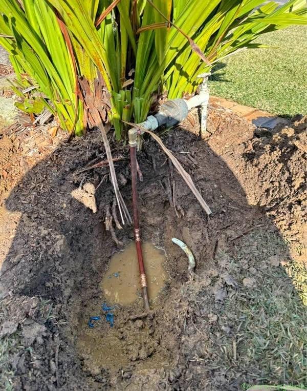Fair plumber