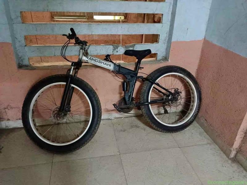Fat bike