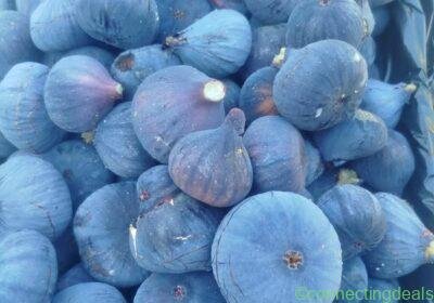 Free ad: Figues de Sollies Pont in Marseille. Figues de Sollies Pont in Marseille