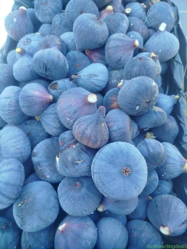 Figues de Sollies Pont