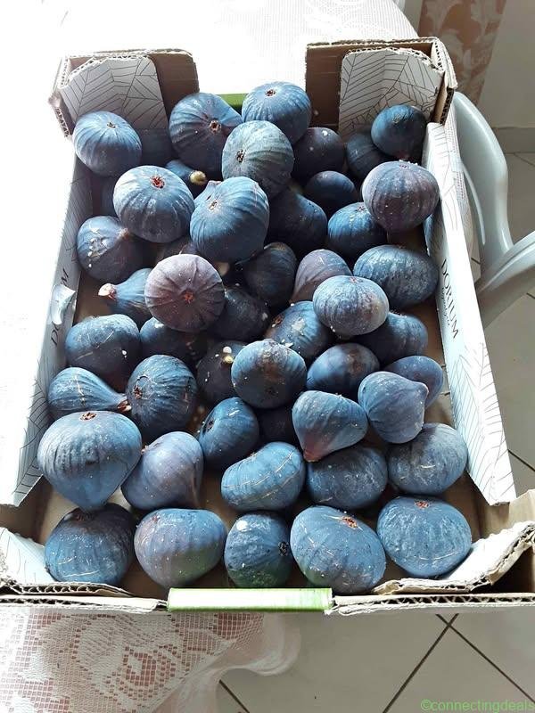 Figues “Violette de Sollies”