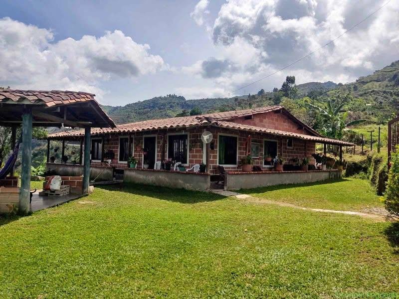 Finca