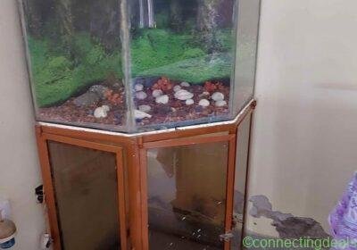 Fish aquarium with stand in Jaipur
