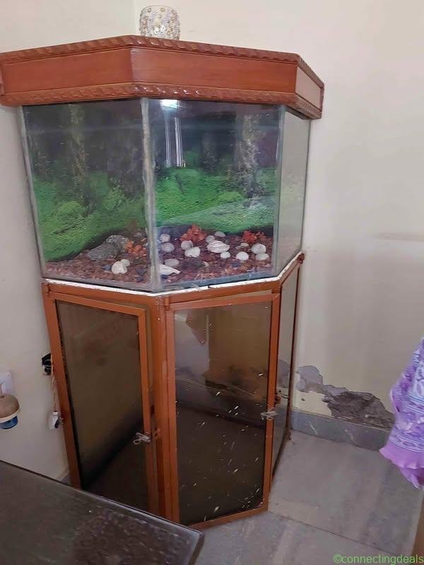 Fish aquarium with stand