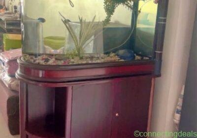 Free ad: Fish tank in Nagpur. Fish tank in Nagpur