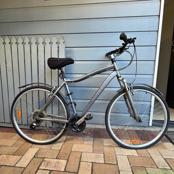 Fluid Expedition silver grey bike bicycle large