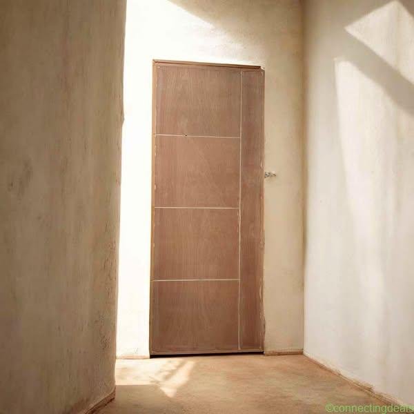 Flush Door