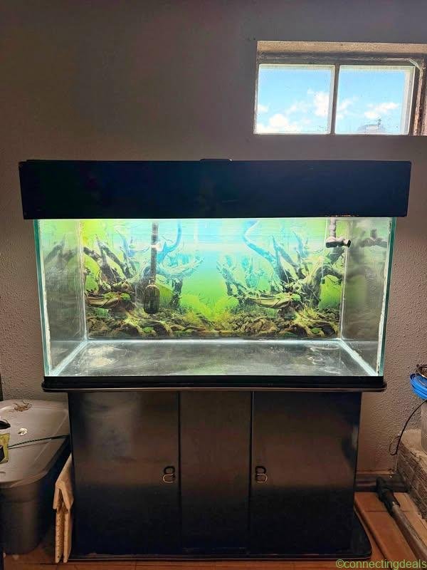 Free fish tank