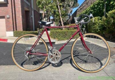 Free Spirit Road Bike in Los Angeles