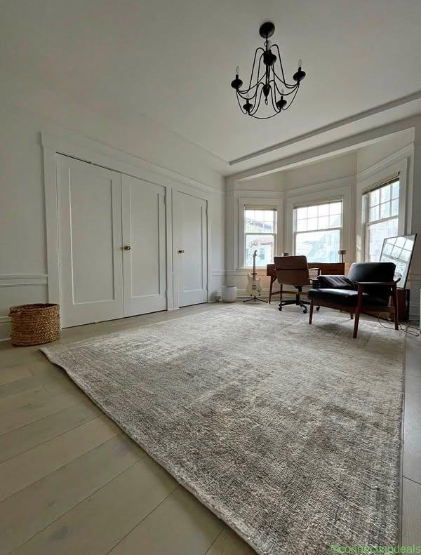 Free West Elm rug