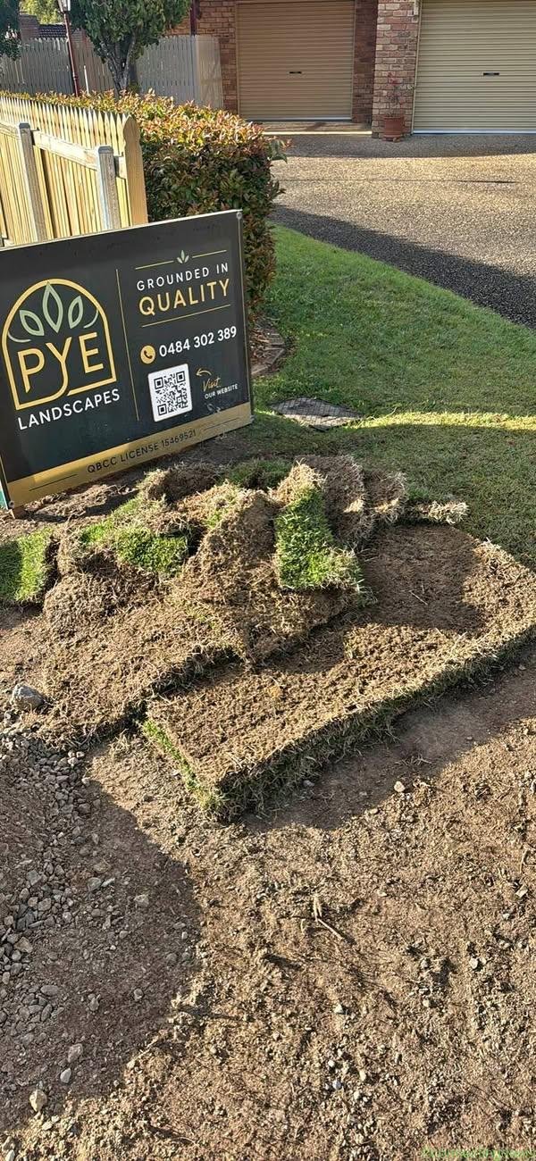 FREE Zoysia turf