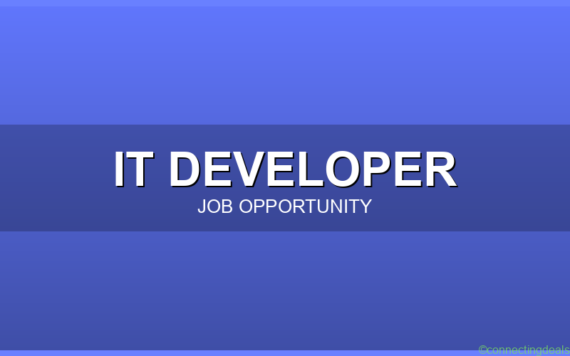 Front End Developer