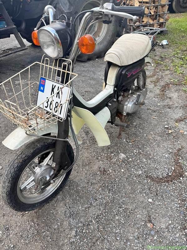 FZ 50