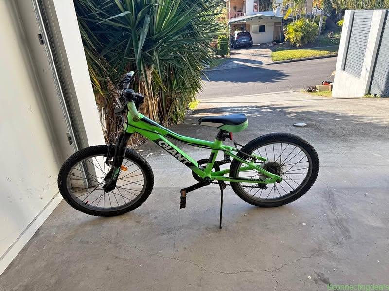 Giant bike