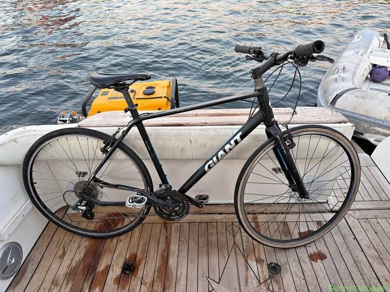 Giant Escape Hybrid Bike