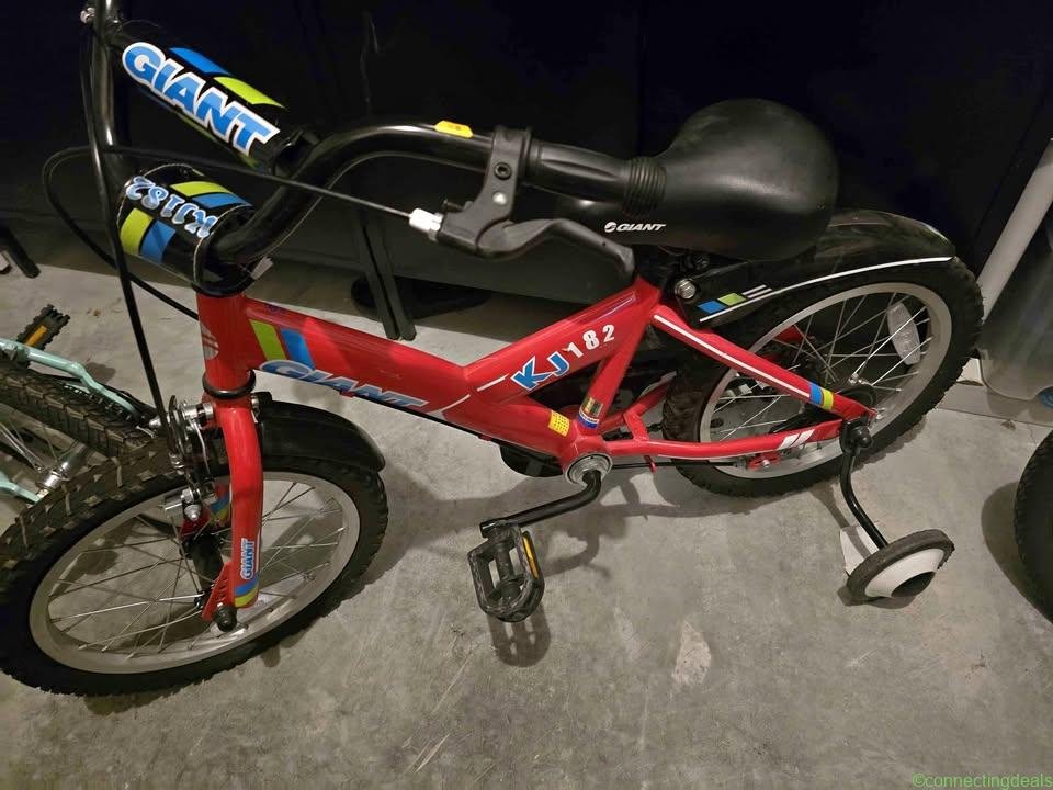 Giant KJ182 Kids Bike and Folding Bicycles