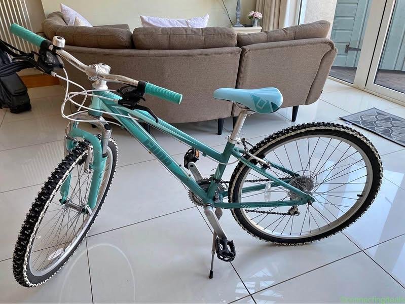 Girls Bike