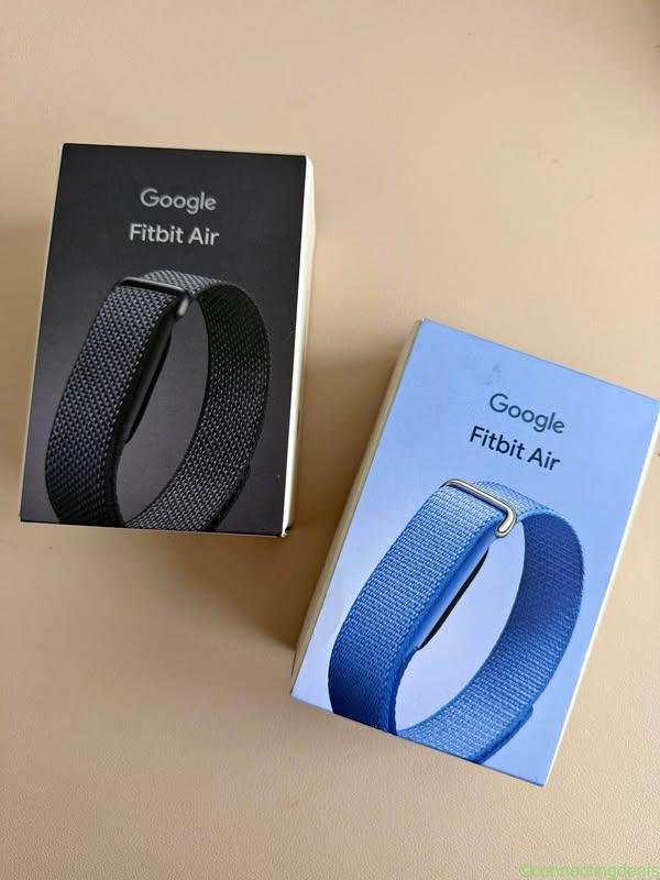Google Fitbit Air