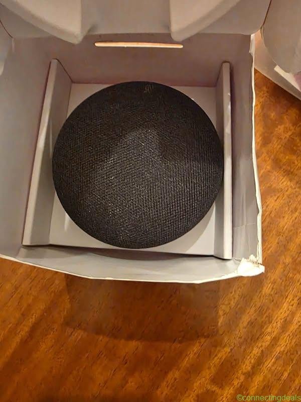 Google Home/Nest Minj