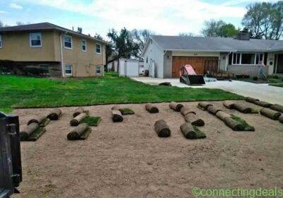 GRASS LAWN in Durban