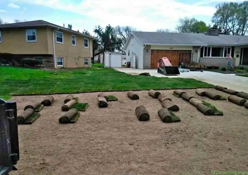 GRASS LAWN