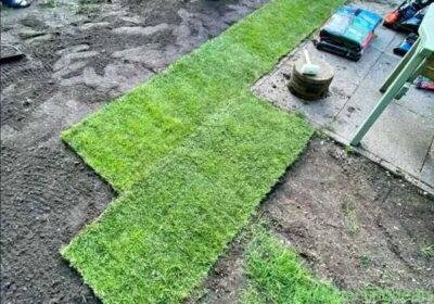 GRASS LAWN in Durban