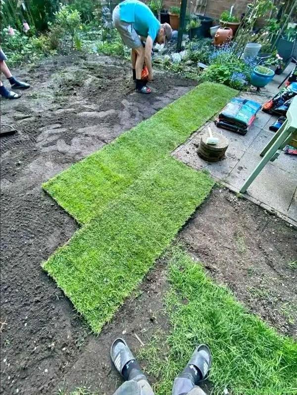 GRASS LAWN