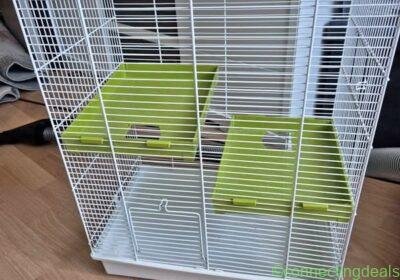 Gratis hamsterkooi in Rotterdam