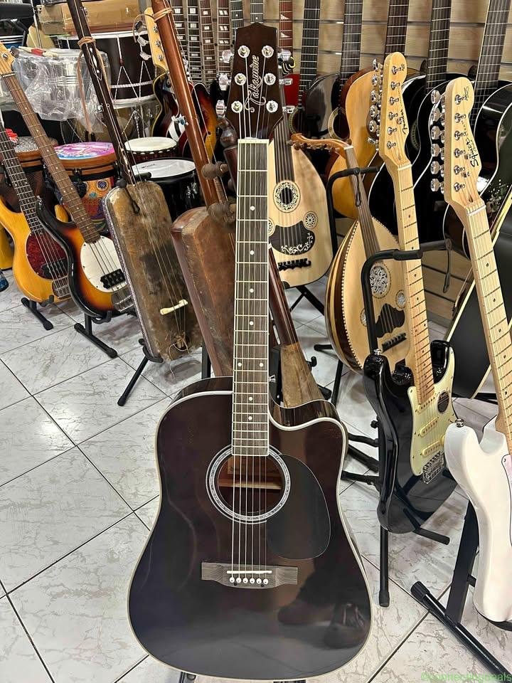 Guitar acoustic pro