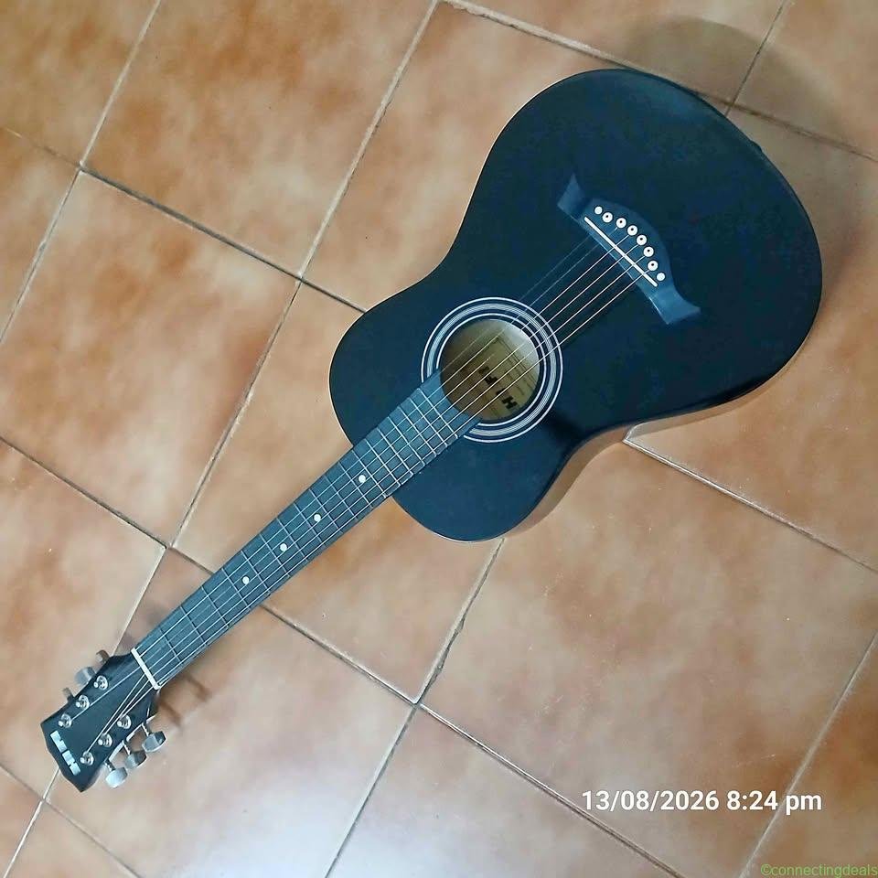 Guitar