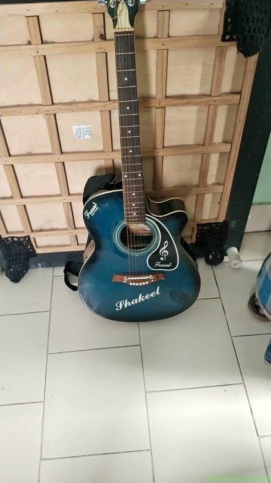 Guitar
