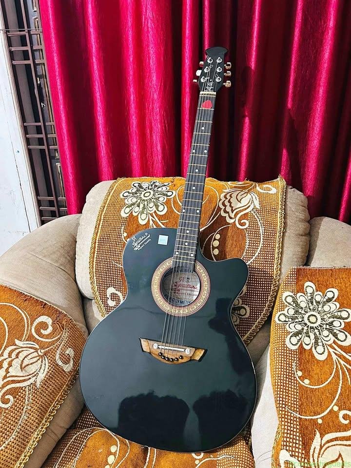 Guitar