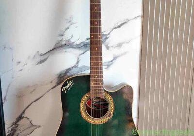 Guitar in Warangal