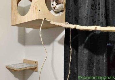 Free ad: Gym para gatos in Medellín. Gym para gatos in Medellín