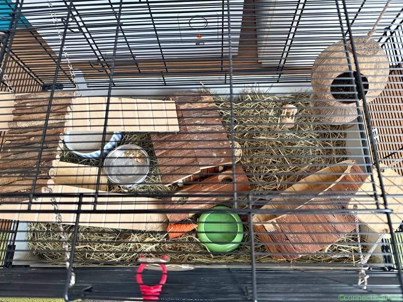 Hamsterkäfig