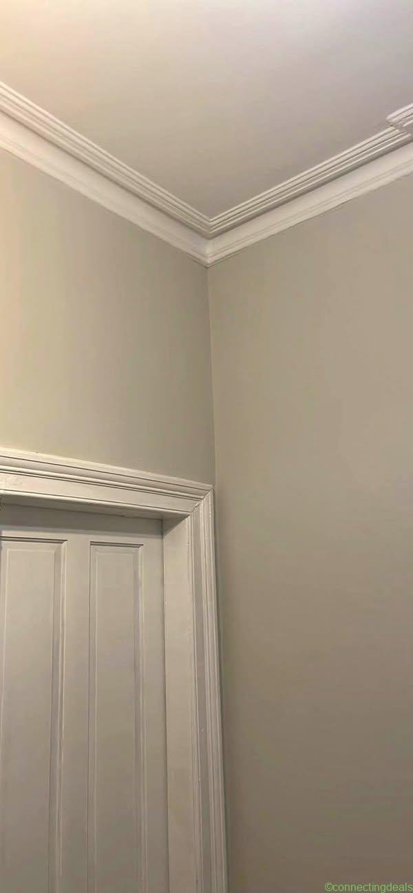 Handyman & Painting Services