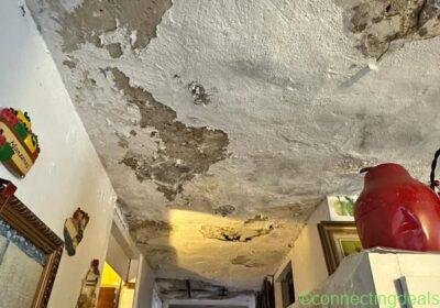 HANDYMAN SERVICES in Detroit